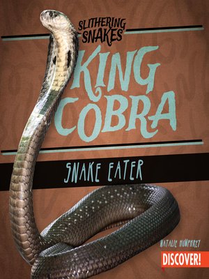 cover image of King Cobra